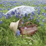 photo of a suitcase in a field of flowers