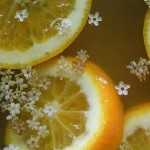 Photo of elderflower cordial mixture