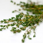 Photo of a bunch of thyme