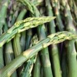 Close up photo of asparagus