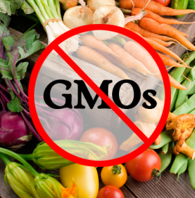 NO GMO photo