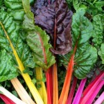 Close up photo of rainbow chard