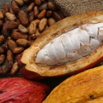 photo of raw cacao