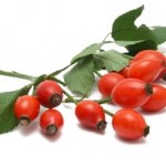 photo of rosehips